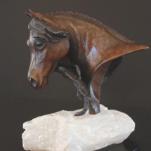 Horse head on white crystal